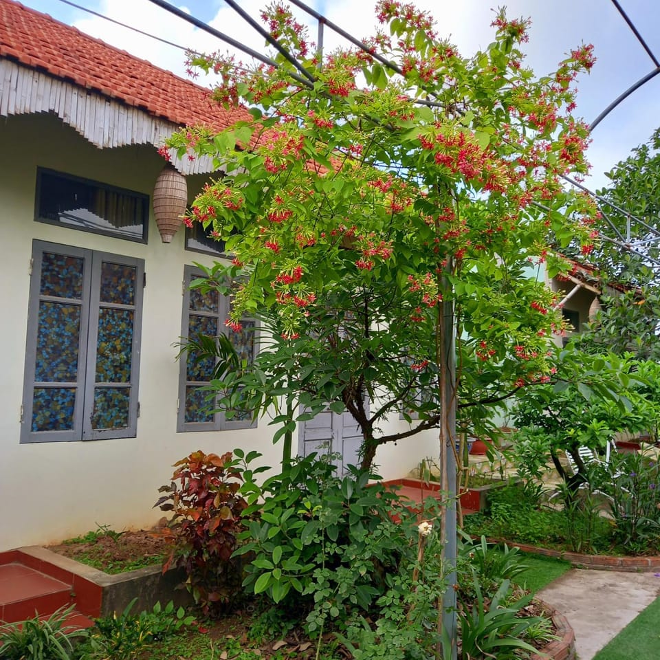 Hang Mua Happiness Homestay Vacation rental in Laos