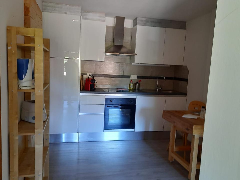Berner Oberland Apartment in Canton of Bern (Region)