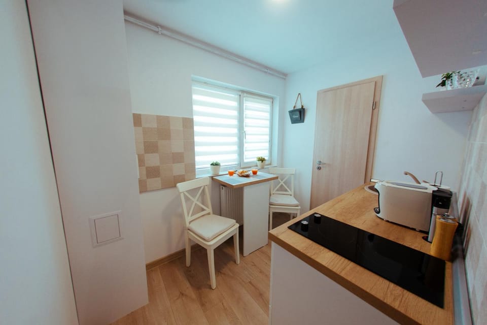 Urban Living Apartment Apartment in Timisoara