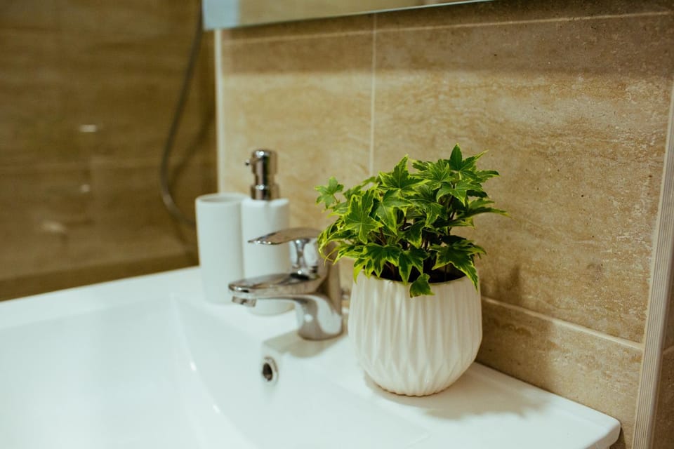 Urban Living Apartment Apartment in Timisoara