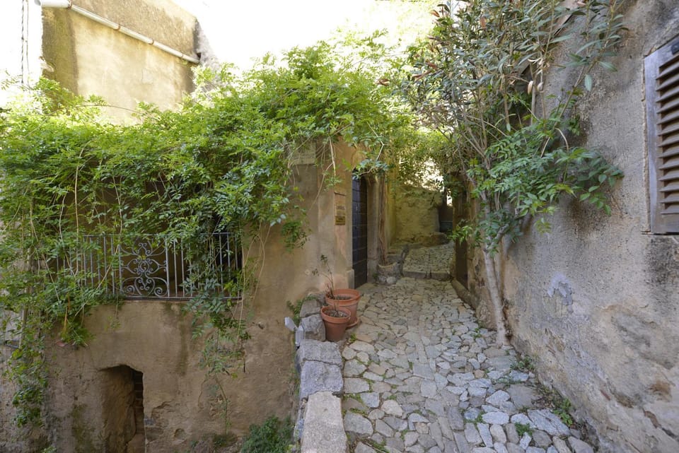 Neighbourhood, Other