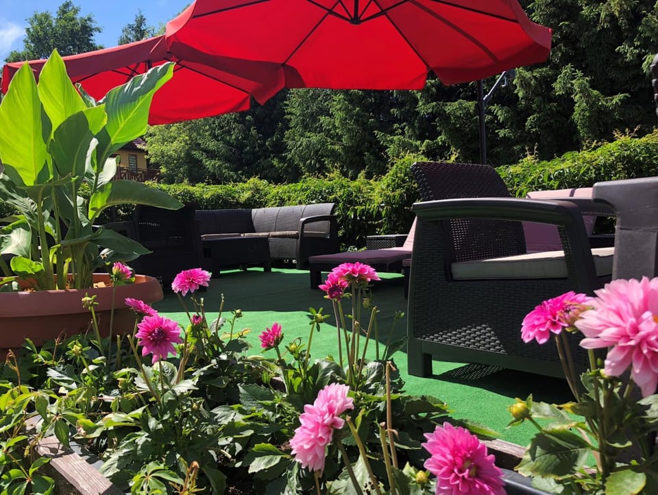 Patio, Natural landscape, Garden, Garden view