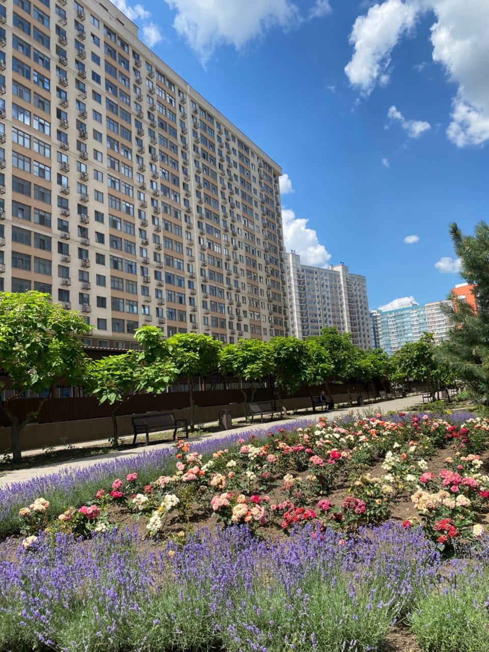 Odessa Pearl Apartment Apartment in Odessa