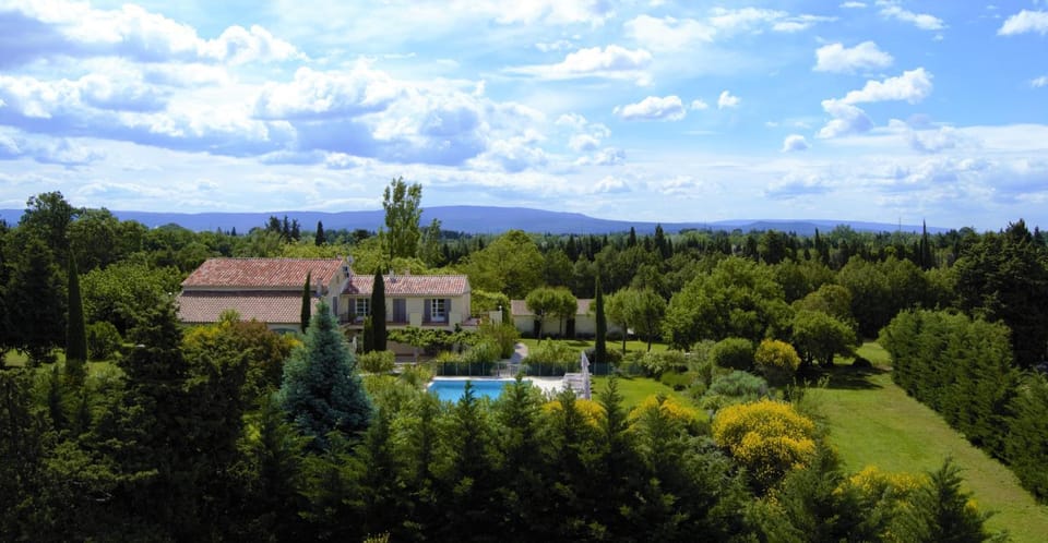 Bird's eye view, Garden, Garden view, Pool view
