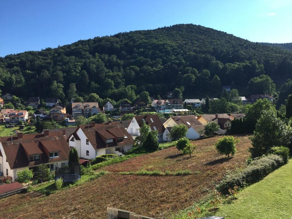 Ferienwohnungen Tauscher Apartment in Rhineland-Palatinate