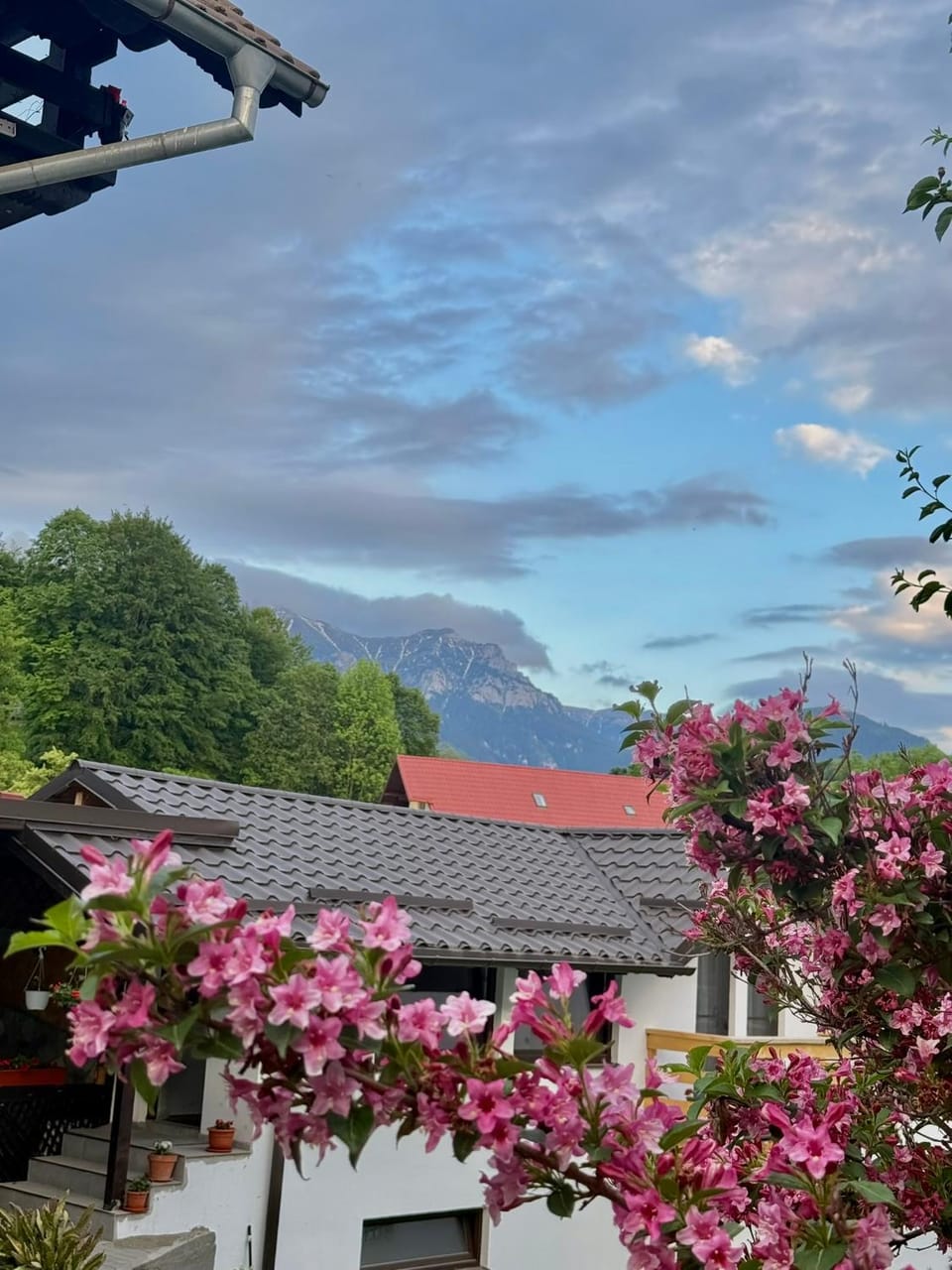 Casuta cu Dumbrava Vacation rental in Bran