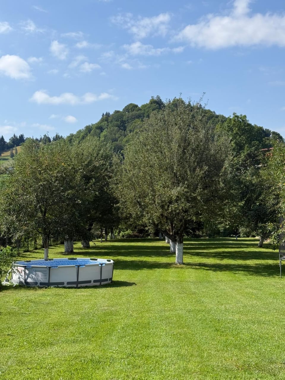 Casuta cu Dumbrava Vacation rental in Bran