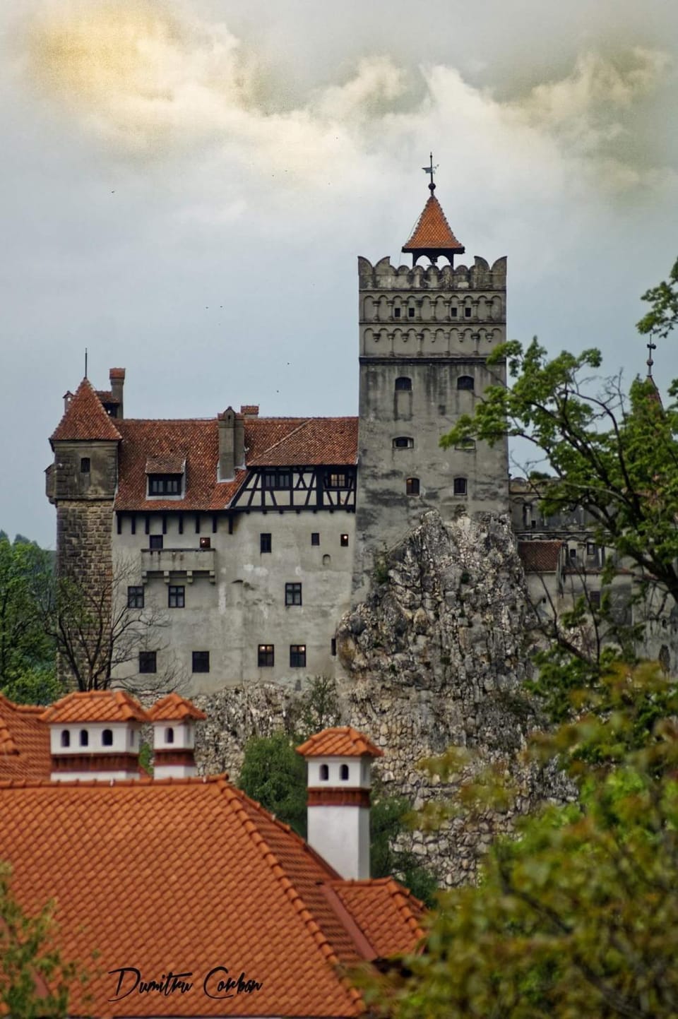 Casuta cu Dumbrava Vacation rental in Bran