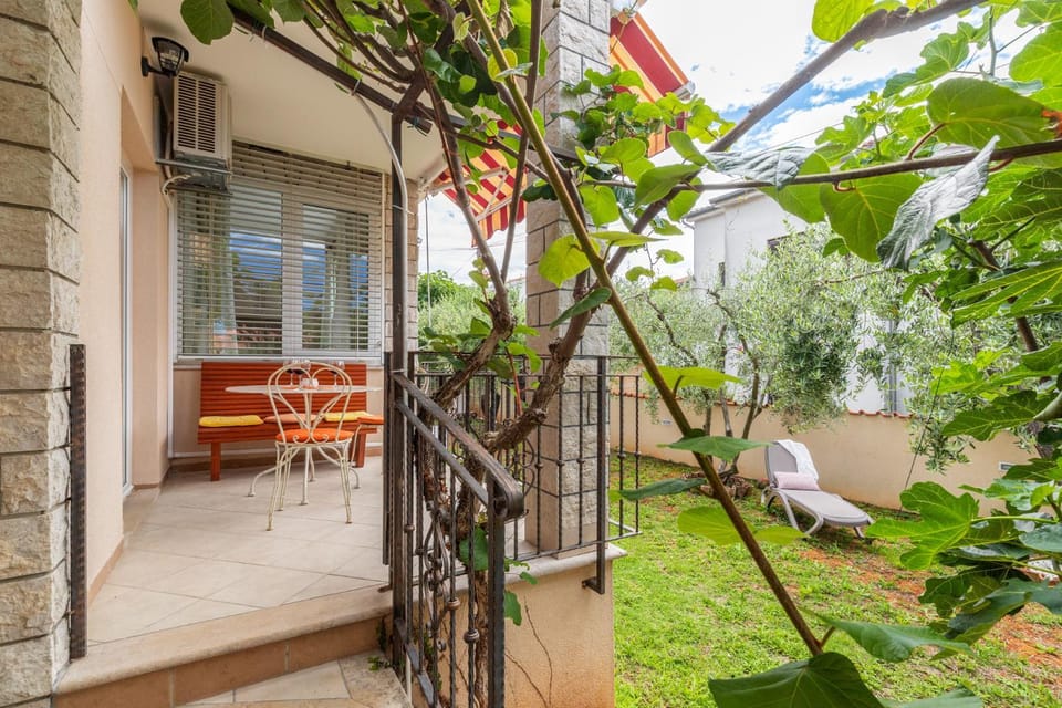 Patio, Spring, Day, Natural landscape, Garden, Balcony/Terrace, Pets