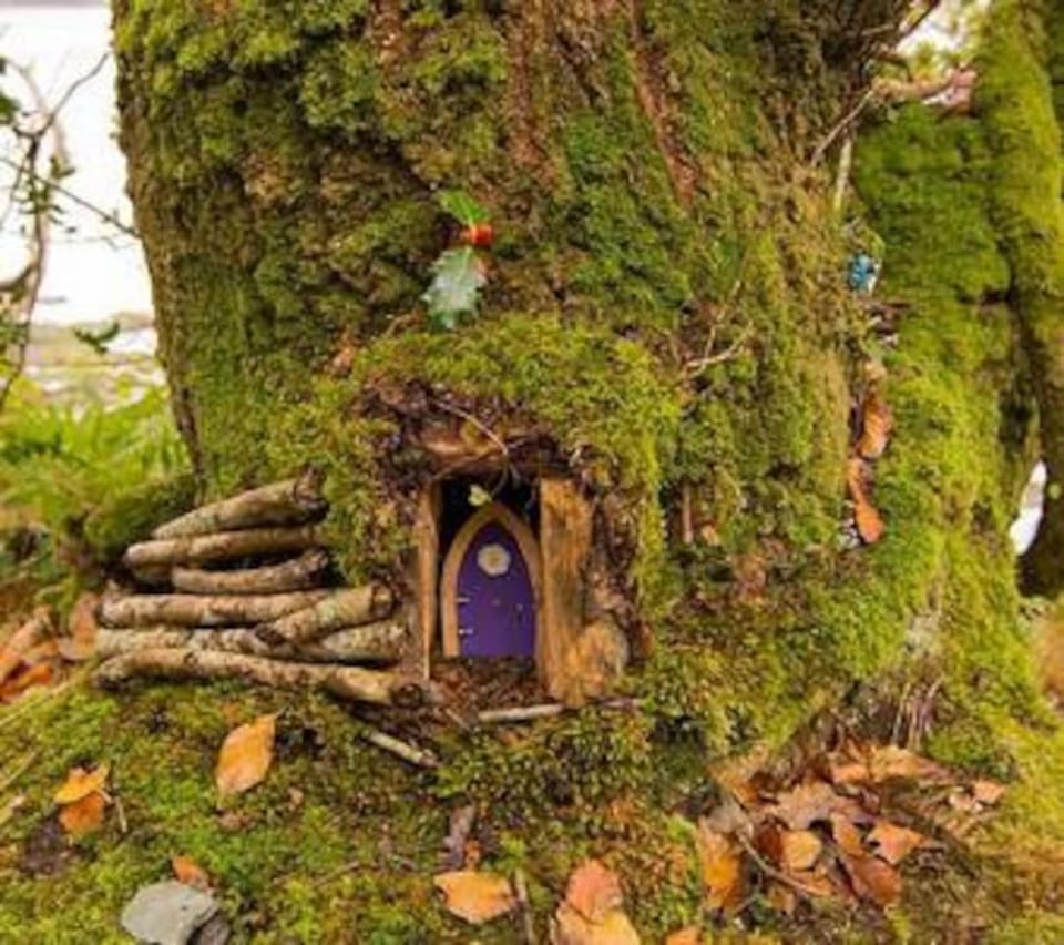 INGLEWOOD - Ballina - Crossmolina - County Mayo - Sleeps 8 - Sister property to Thistledown House in County Mayo