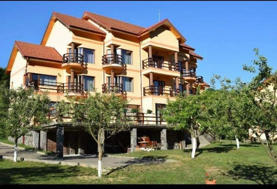 Pensiunea '' LA PAPA'' Hotel in Romania