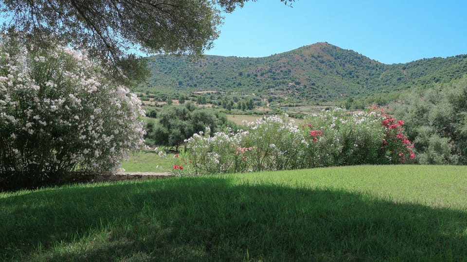 Natural landscape, Garden, Mountain view