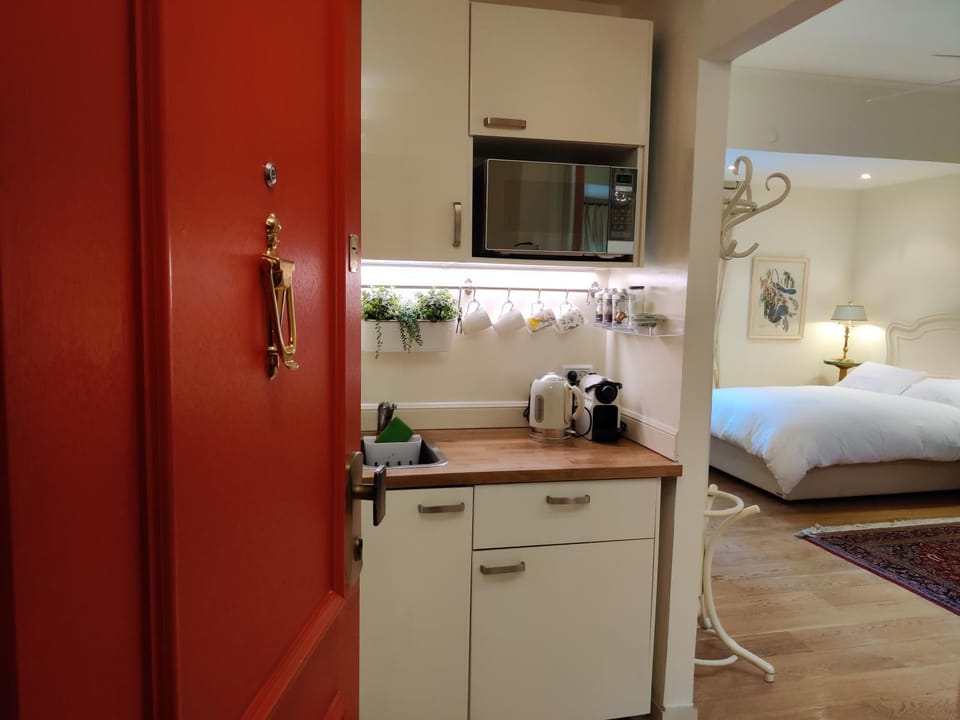 Kitchen or kitchenette, Photo of the whole room, minibar
