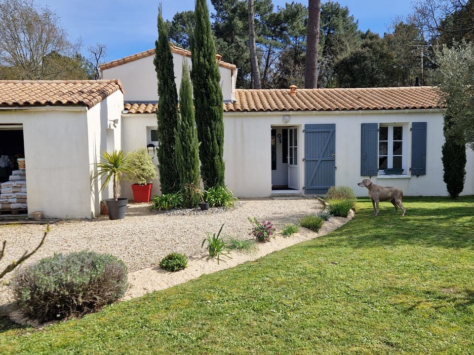 A l'ombre des pins Bed and Breakfast in Nouvelle-Aquitaine
