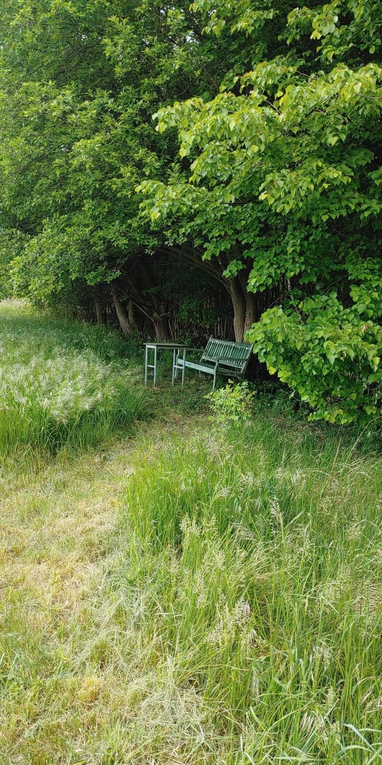 Natural landscape