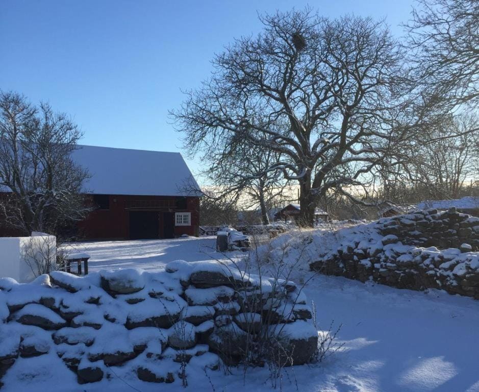Winter