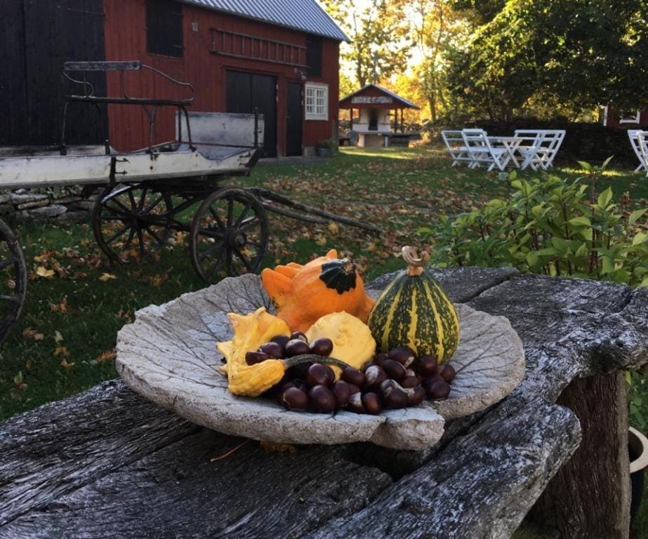 Rosenborgs Friluftspensionat Bed and Breakfast in Kalmar County, Sweden