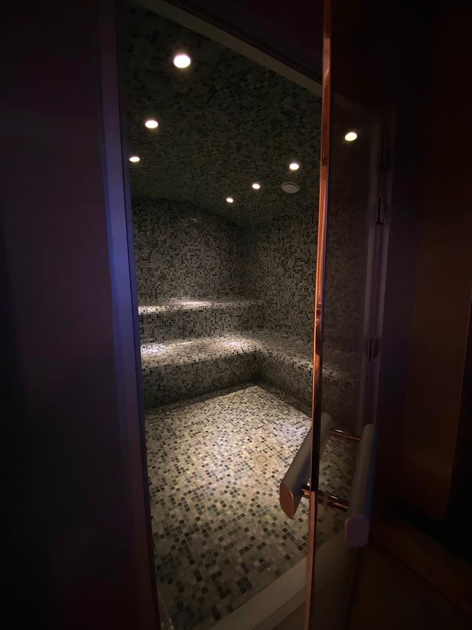 Steam room, Spa and wellness centre/facilities