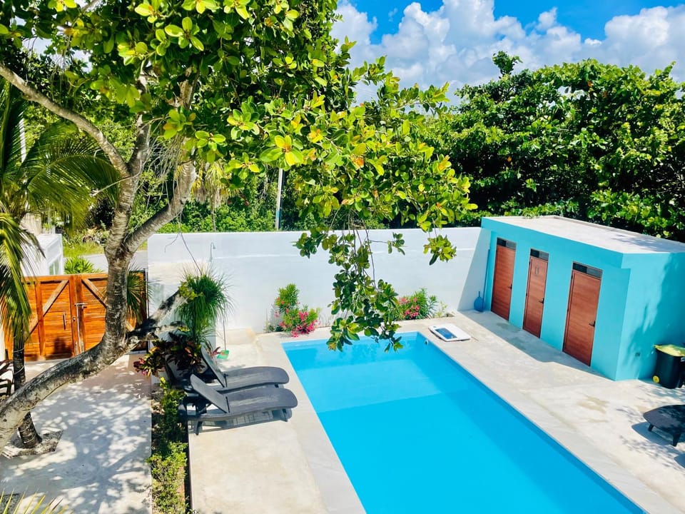 Garden, Swimming pool