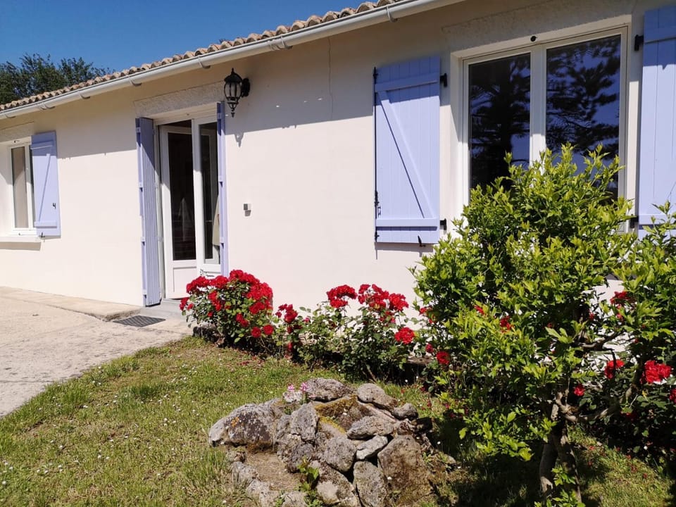 Patio, Facade/entrance