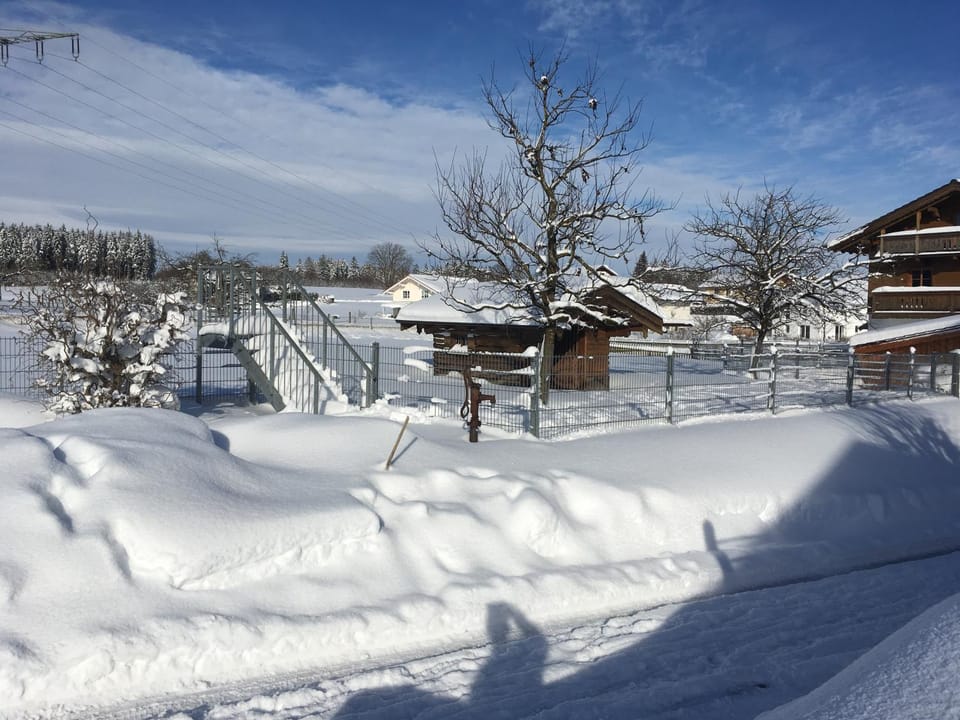 Natural landscape, Winter