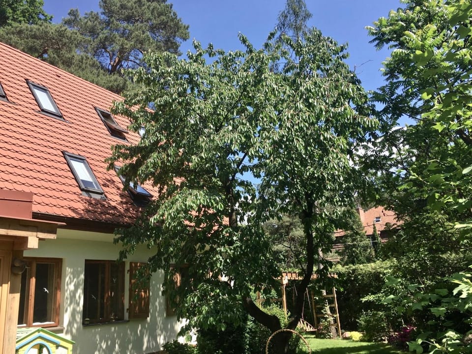 Property building, Garden