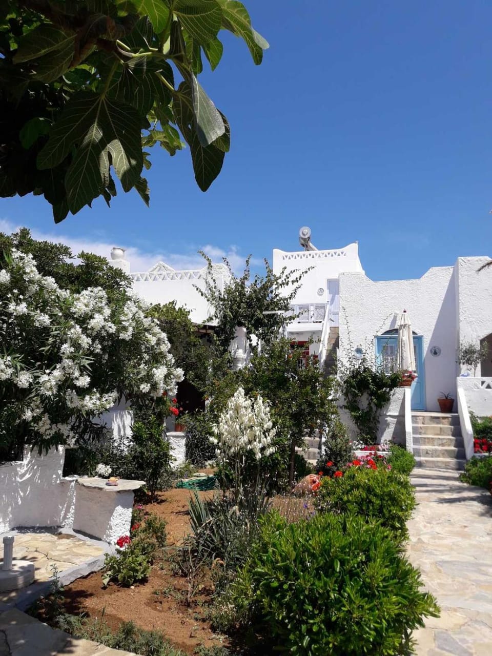Nyfes Traditional Boutique Frosyni House in Euboea