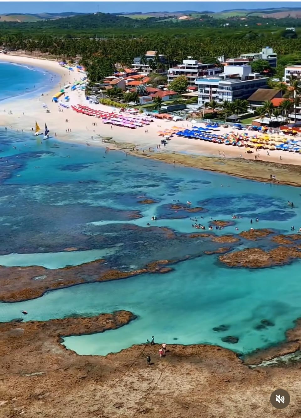 Resort Beira mar em Porto de Galinhas - Cupe Beach Living Apartment in Ipojuca