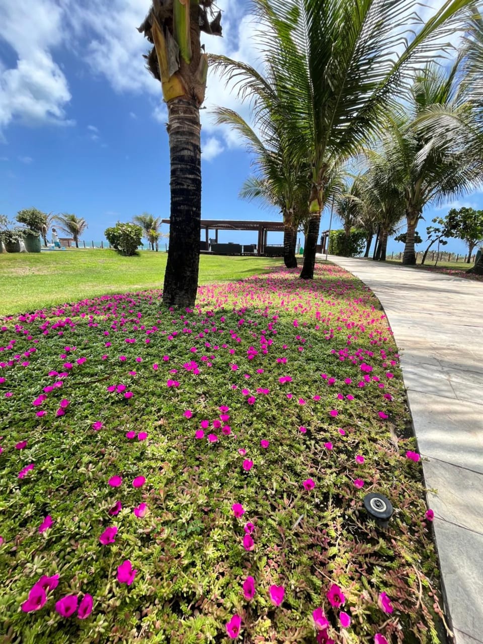 Garden view