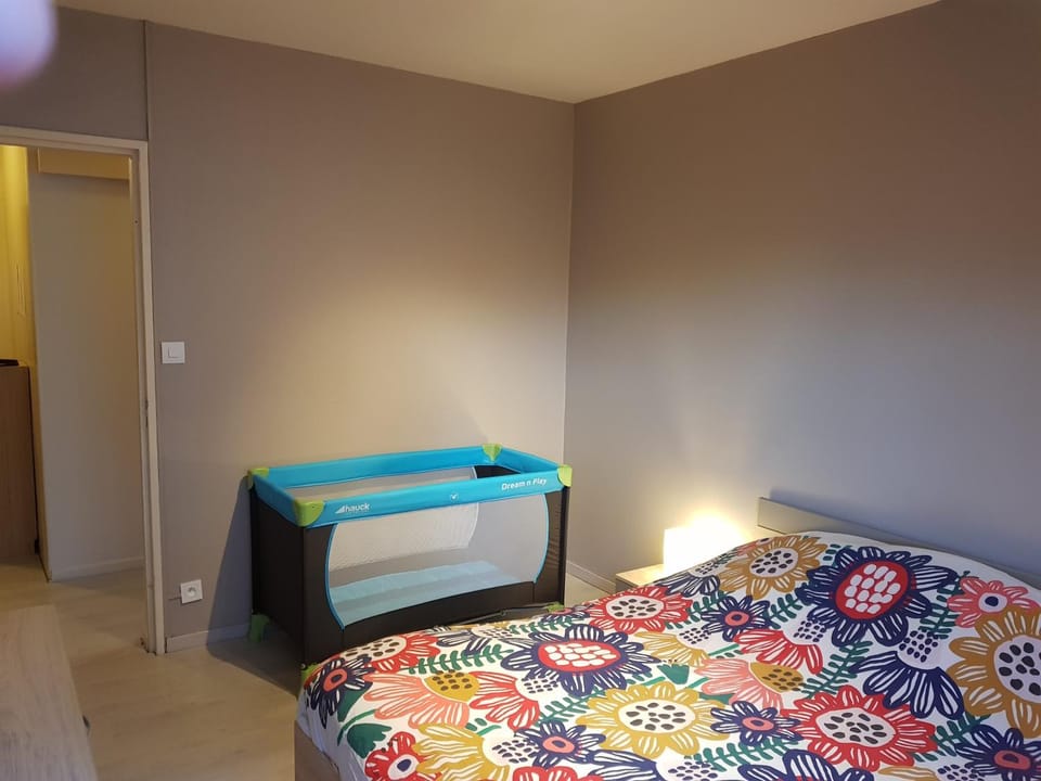 Le Bellevue Apartment in Colmar
