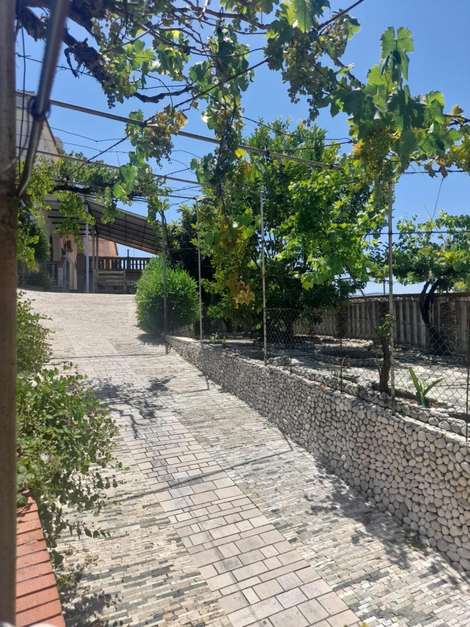 Villa Teresa Apartment in Peschici