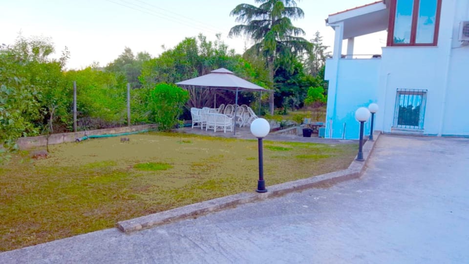 Garden, Sunrise
