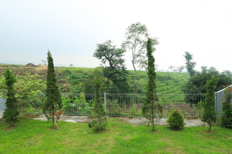 Natural landscape, Garden view