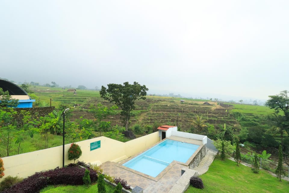 Pool view, Swimming pool