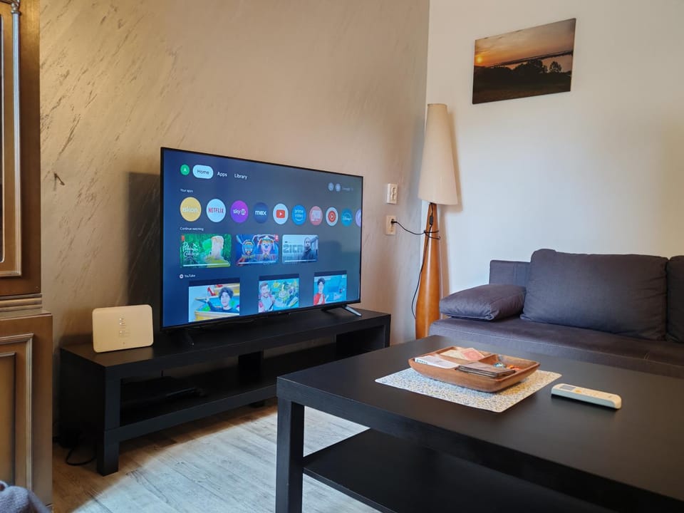 TV and multimedia