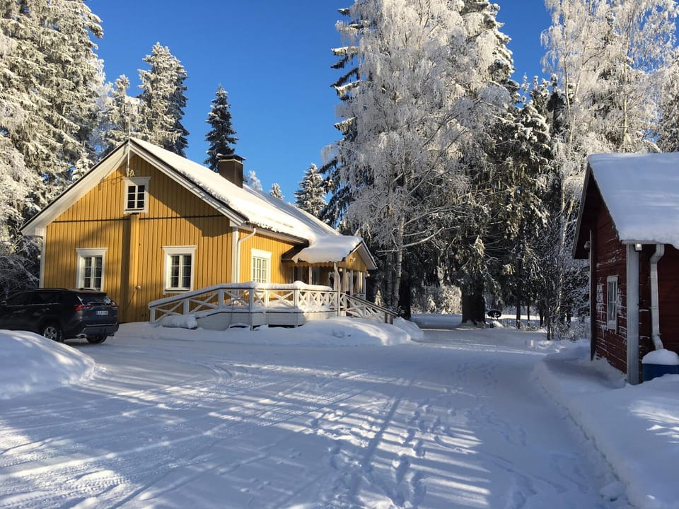 Winter