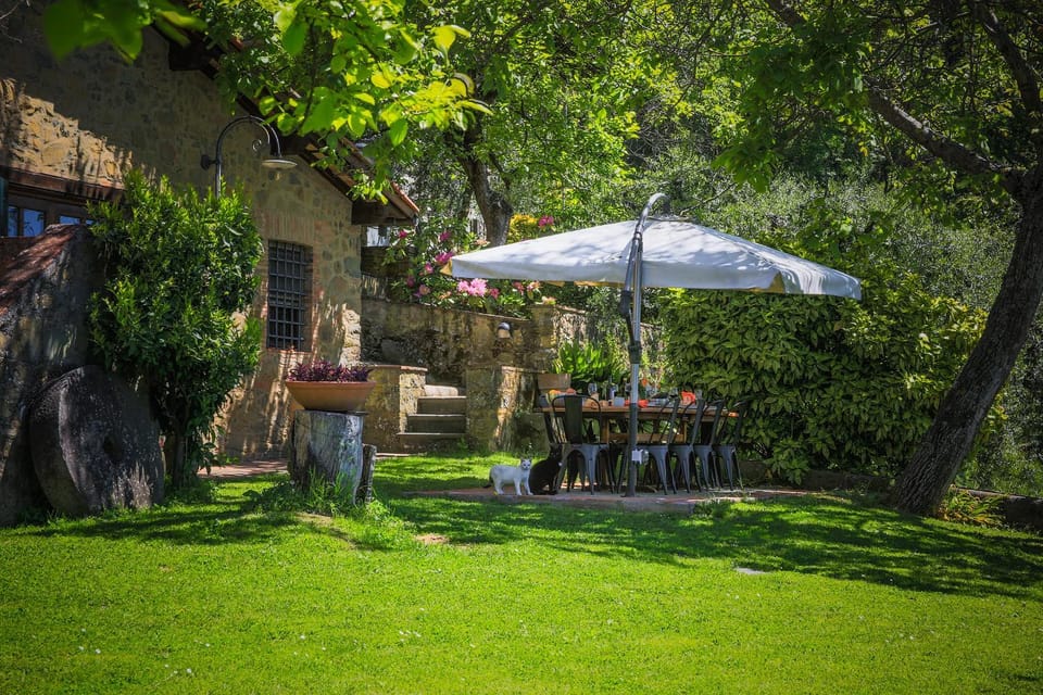 Patio, Spring, Day, Natural landscape, BBQ facilities, Garden, Garden, Garden view