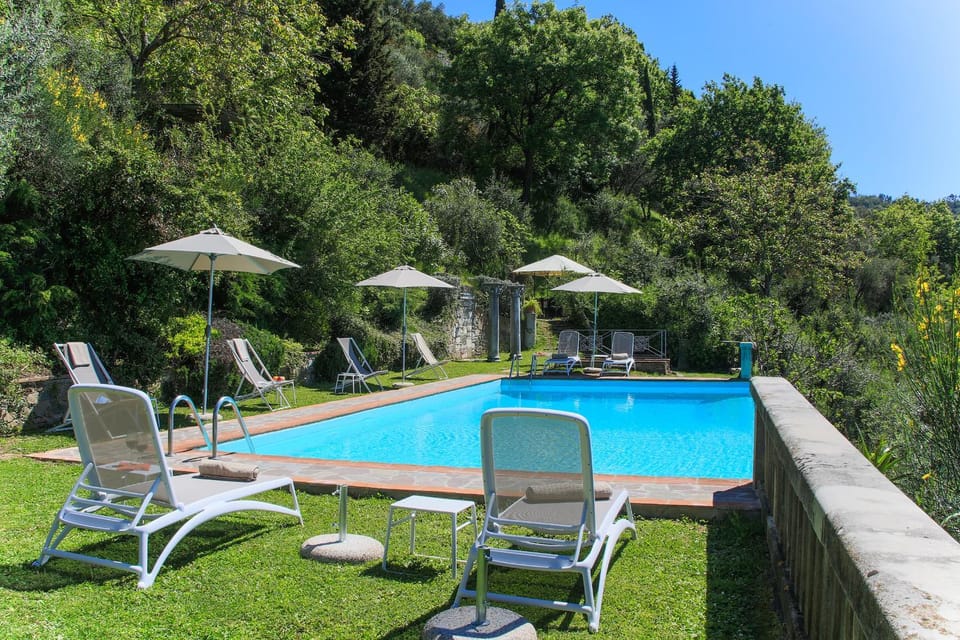 Spring, Day, Natural landscape, Garden, Garden view, Pool view, Swimming pool, Swimming pool, sunbed