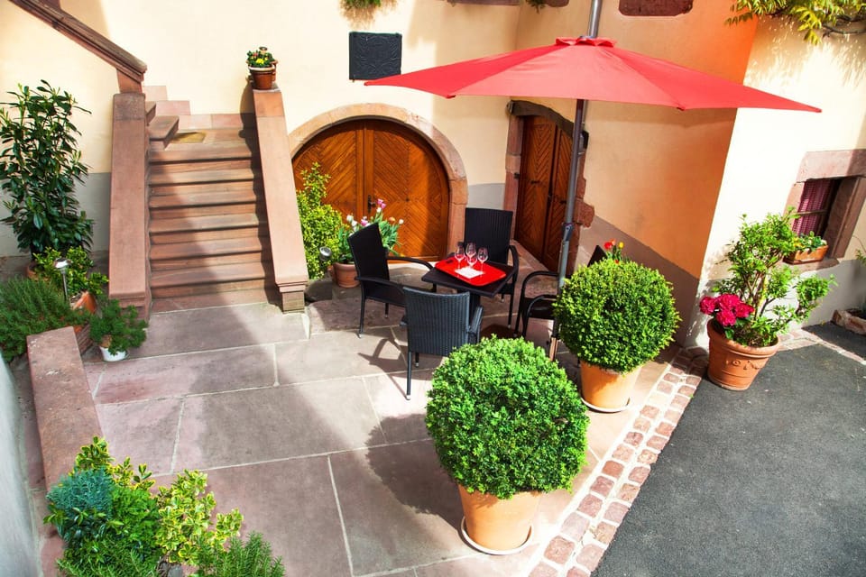 Patio, Day