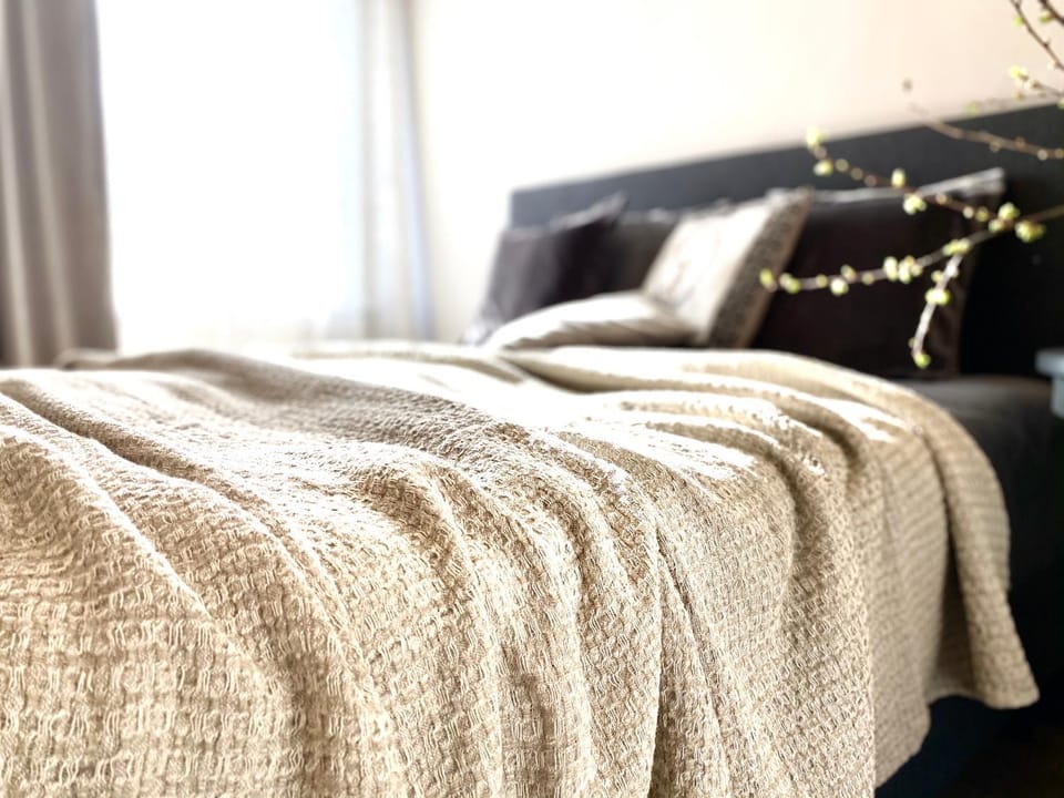 Cesis Boulevard Apartments Apartment in Latvia
