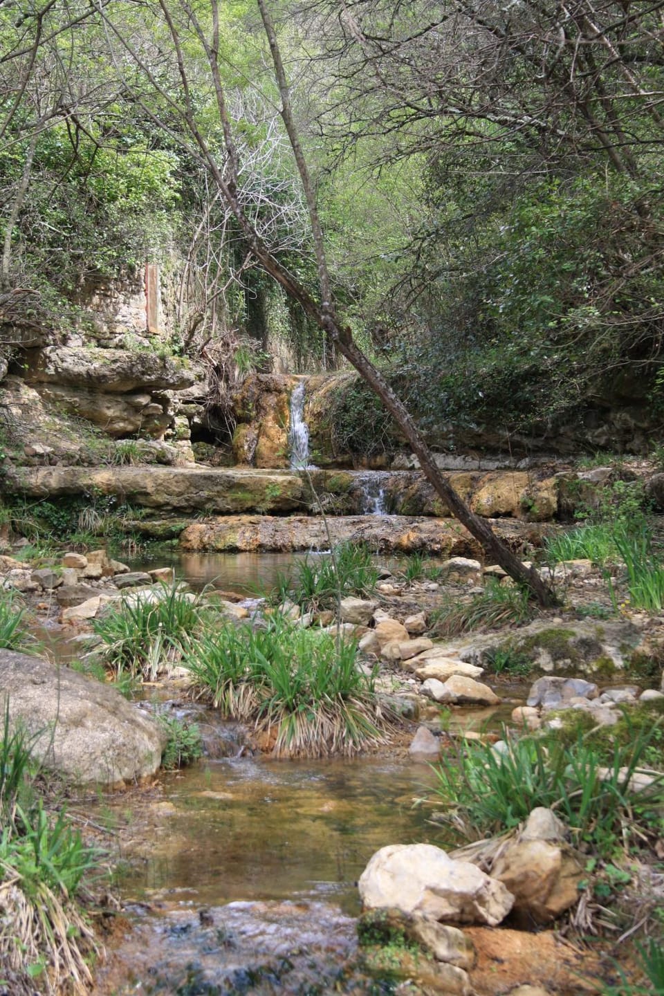 Le Therminus chambres d hôtes Bed and Breakfast in Occitanie