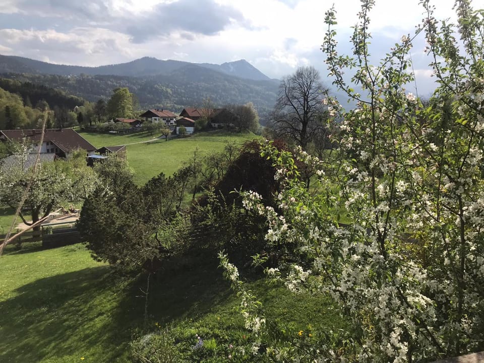 Entspannen mit Bergpanorama Apartment in Salzburgerland