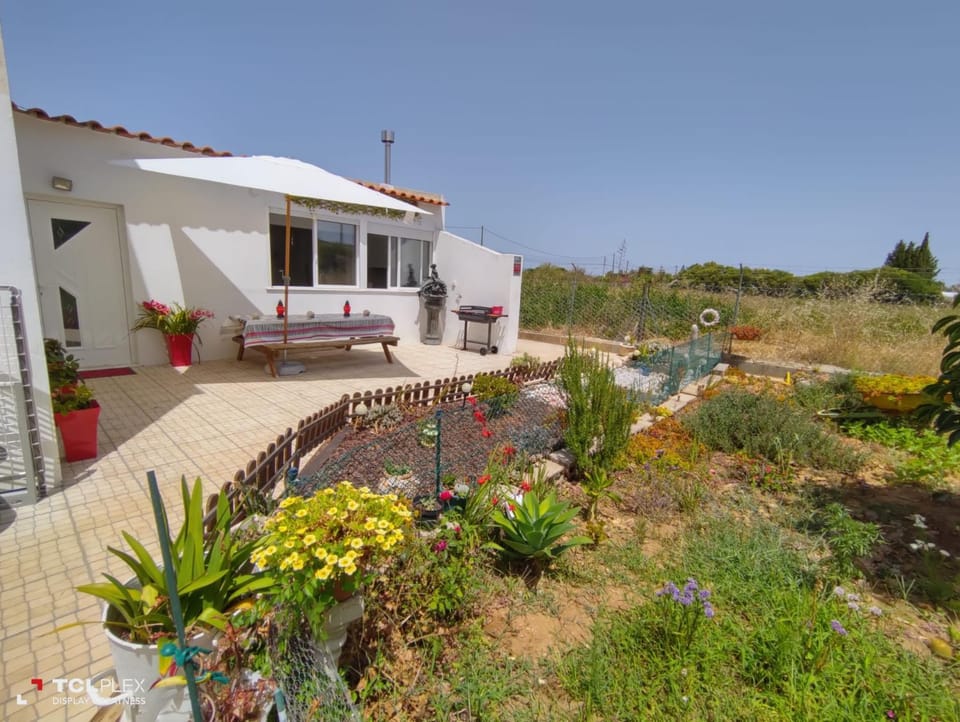 Patio, Garden