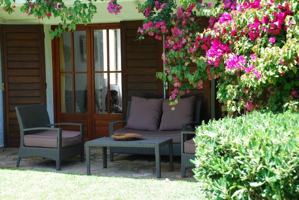 Garden, sunbed