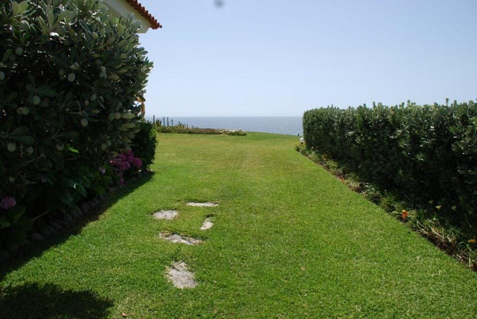 Garden, Garden view, Sea view