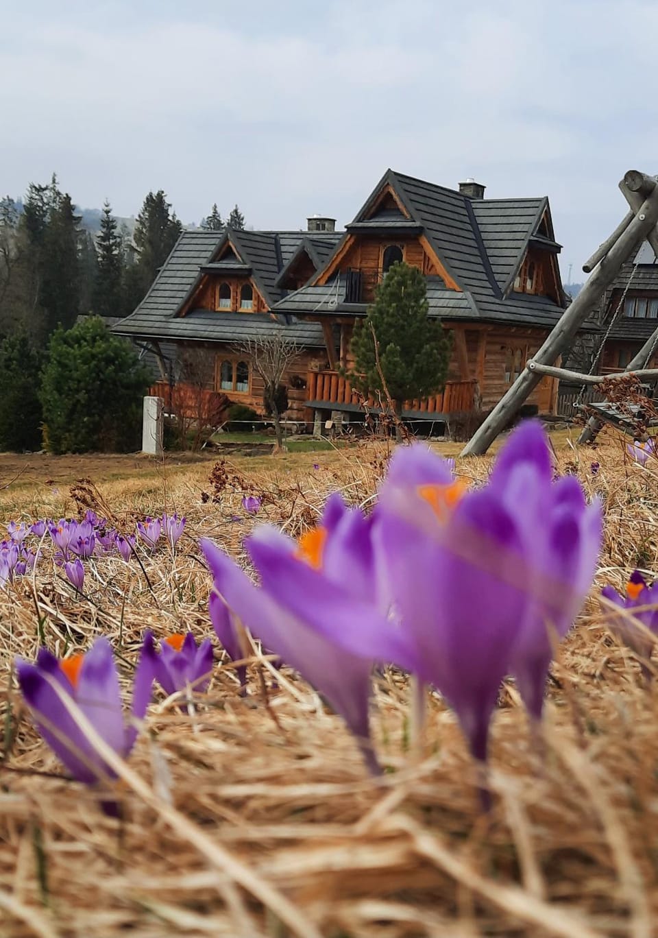 Domek Kojsówka Chalet in Lesser Poland Voivodeship