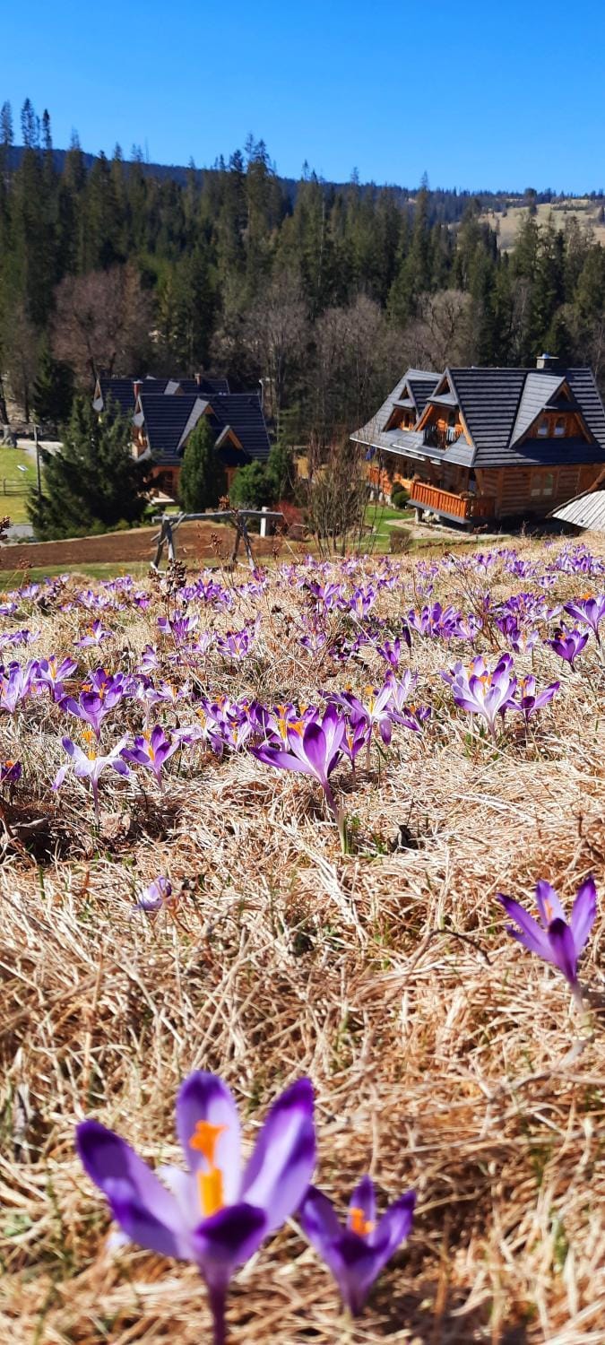 Domek Kojsówka Chalet in Lesser Poland Voivodeship