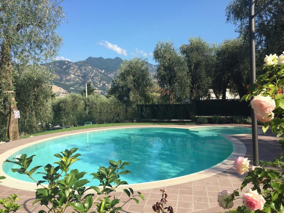 Garden, Swimming pool