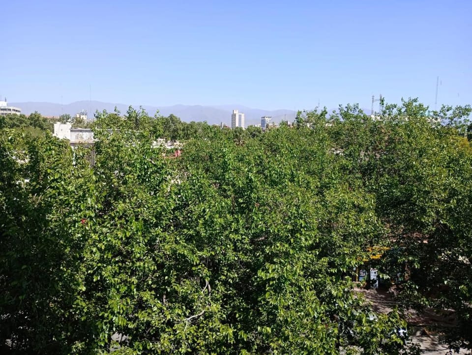 Mountain view