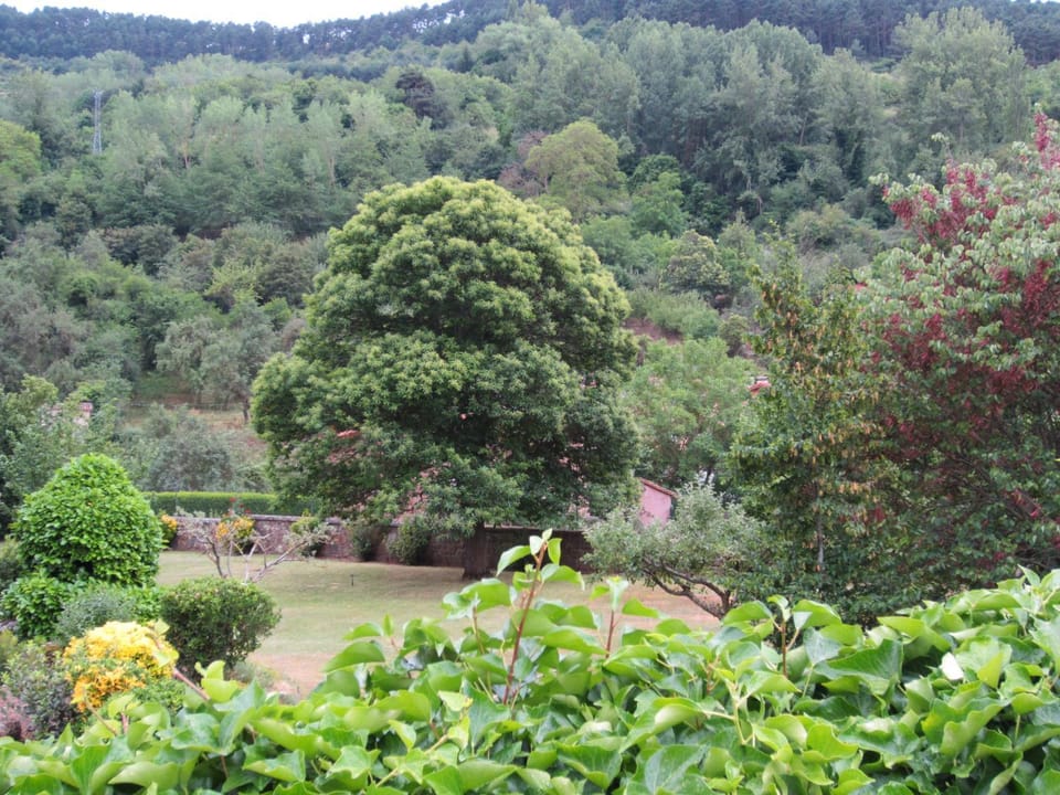 Garden, Landmark view